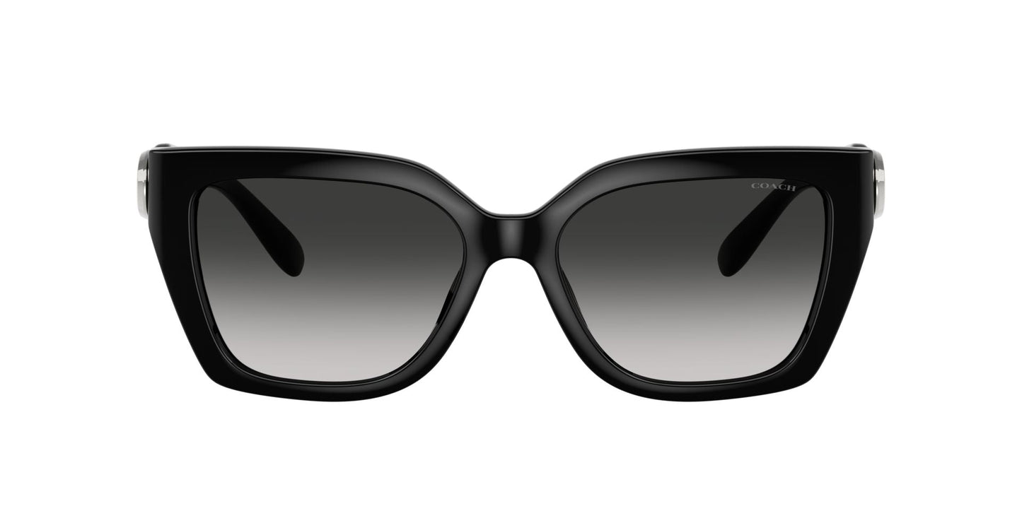 0HC8408U-Injected Woman Sunglass-Black