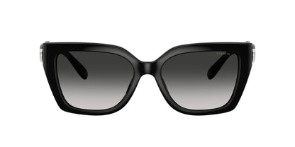 0HC8408U-Injected Woman Sunglass-Black