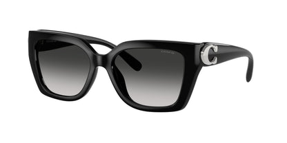 0HC8408U-Injected Woman Sunglass-Black