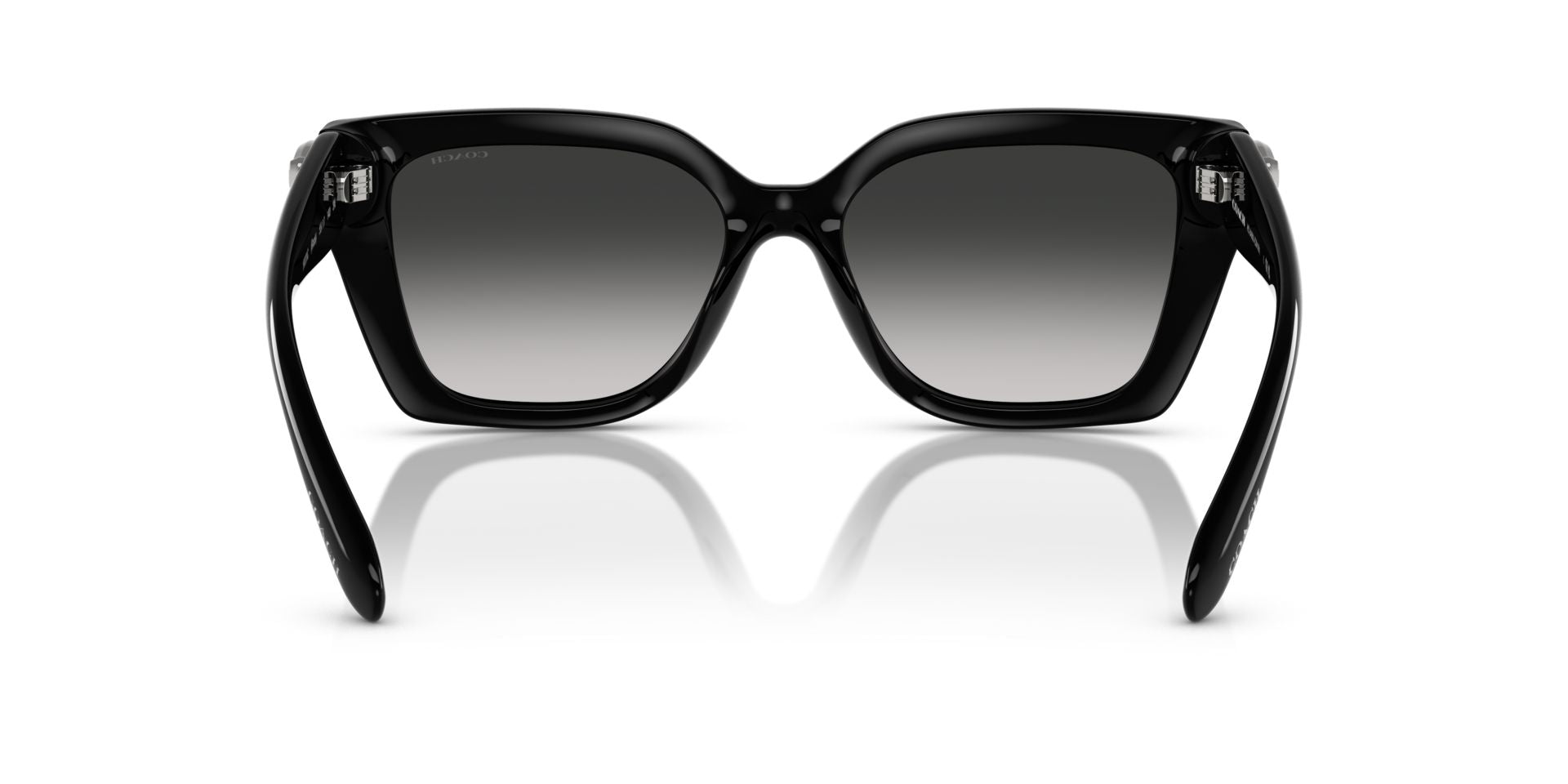 0HC8408U-Injected Woman Sunglass-Black