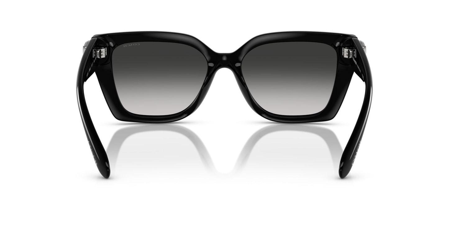 0HC8408U-Injected Woman Sunglass-Black