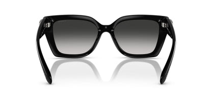 0HC8408U-Injected Woman Sunglass-Black