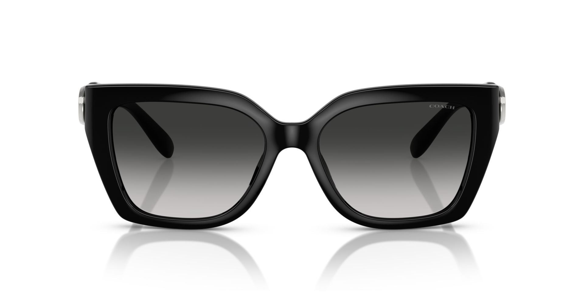 0HC8408U-Injected Woman Sunglass-Black