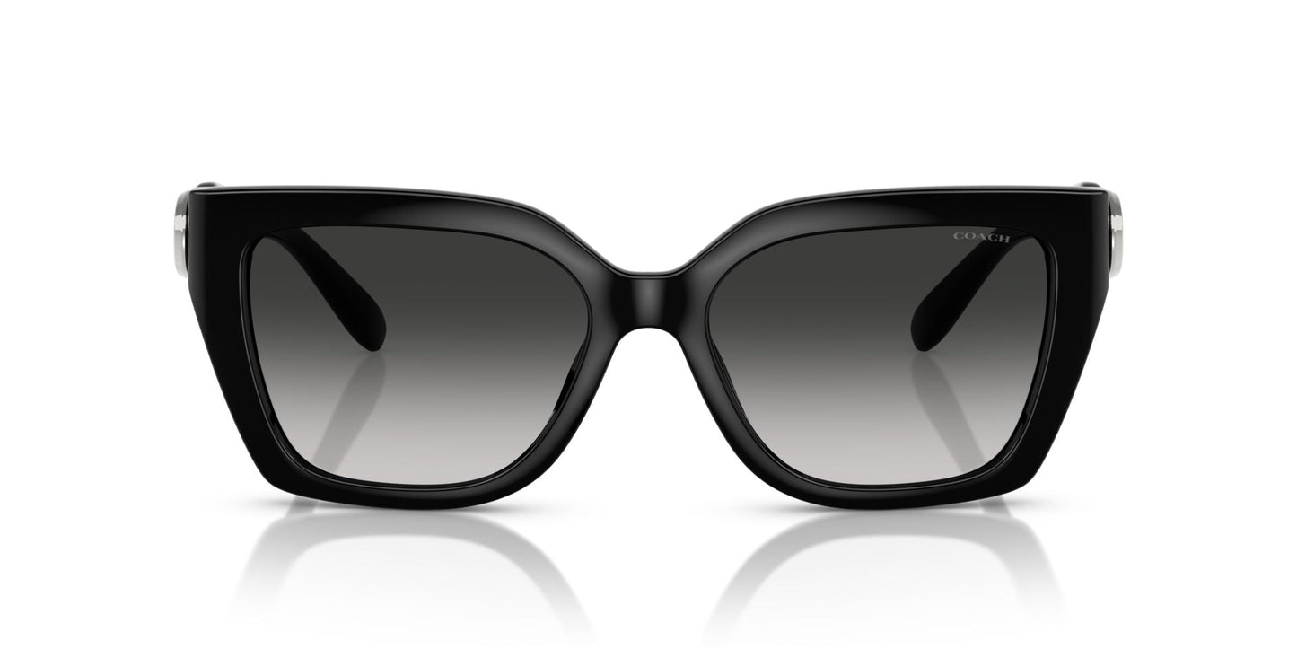 0HC8408U-Injected Woman Sunglass-Black