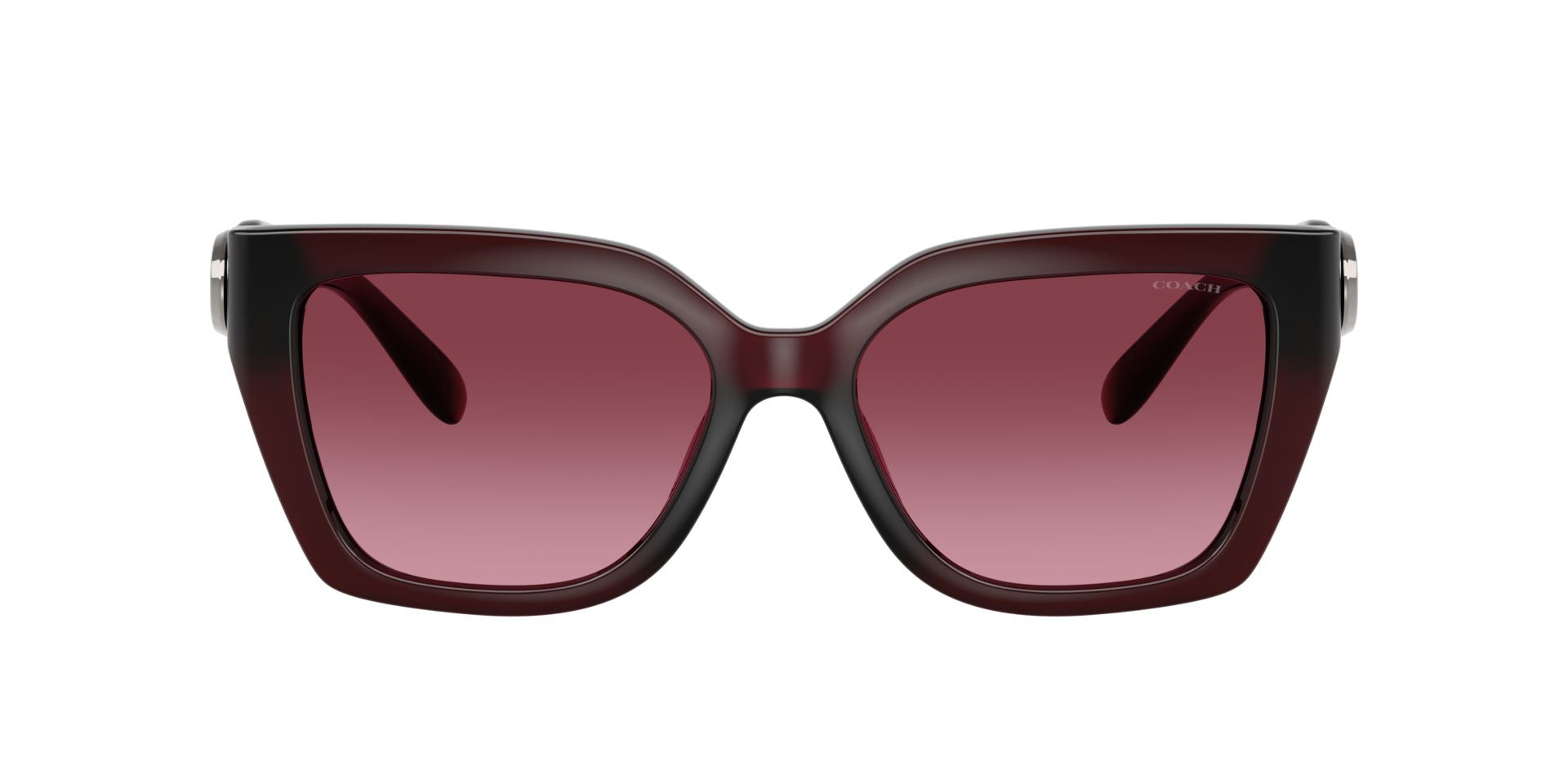 0HC8408U-Injected Woman Sunglass-Milky Burgundy