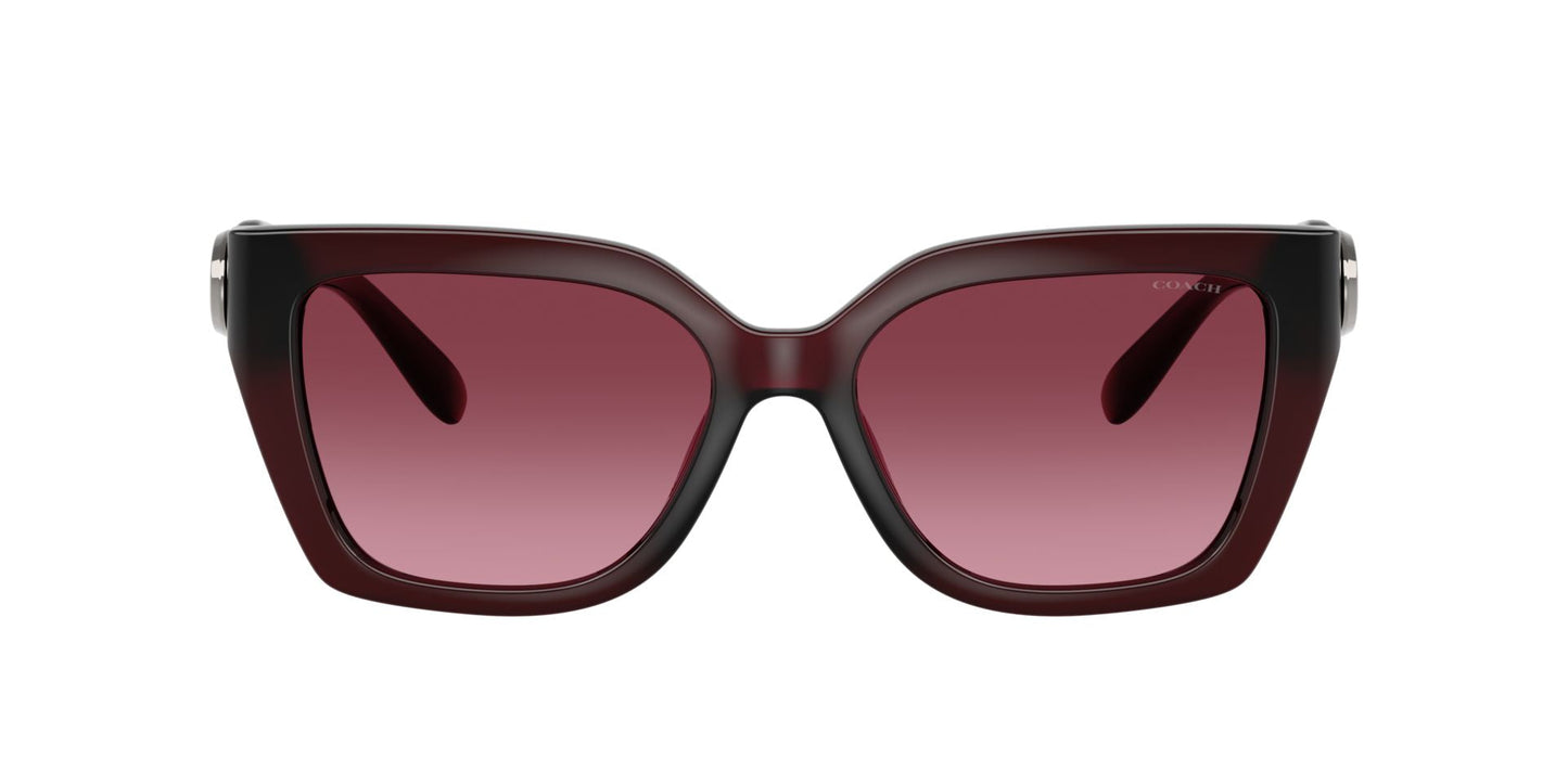 0HC8408U-Injected Woman Sunglass-Milky Burgundy