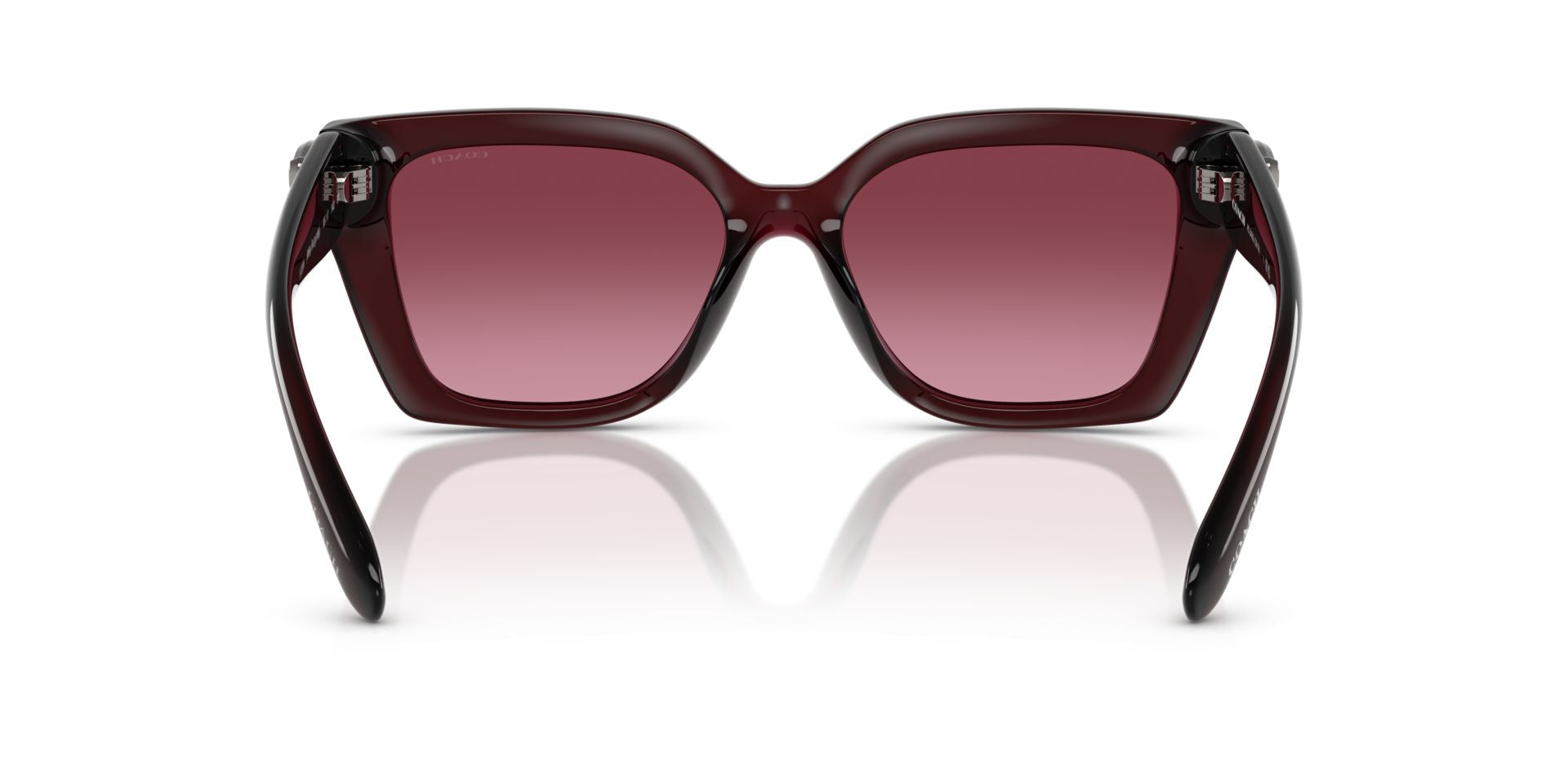 0HC8408U-Injected Woman Sunglass-Milky Burgundy