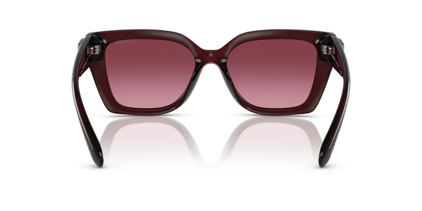 0HC8408U-Injected Woman Sunglass-Milky Burgundy
