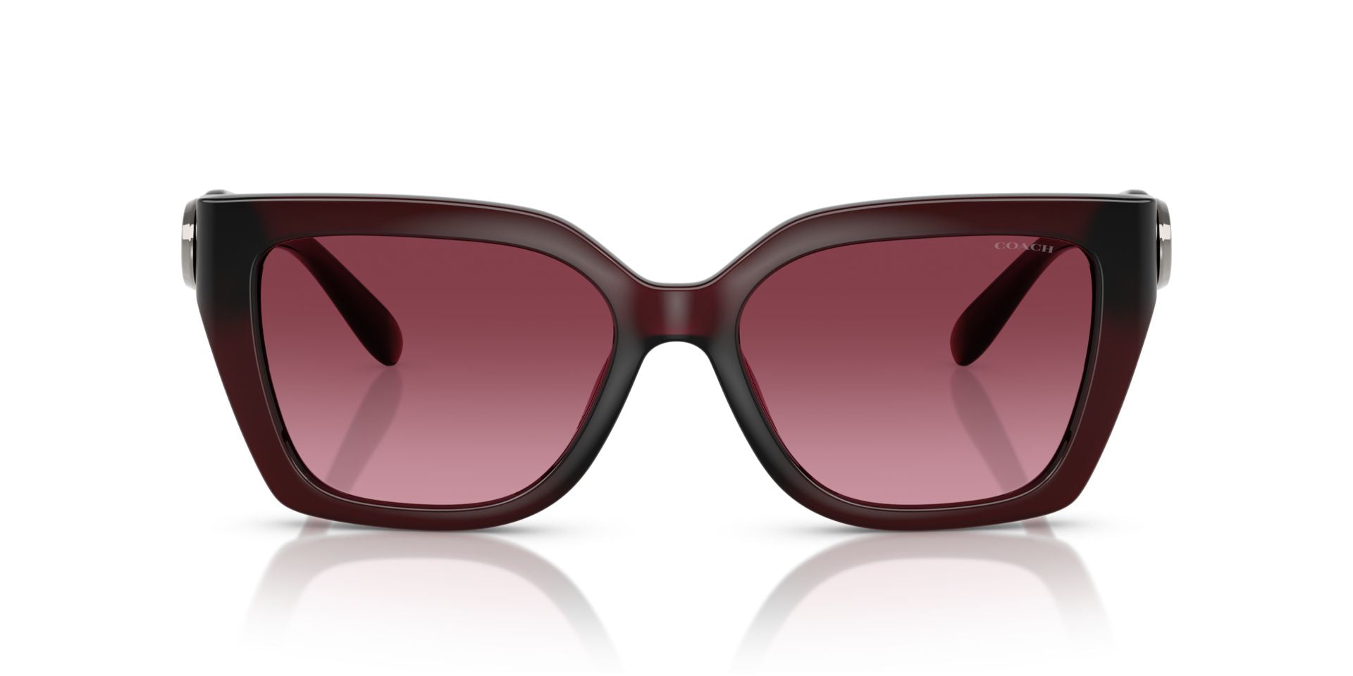 0HC8408U-Injected Woman Sunglass-Milky Burgundy