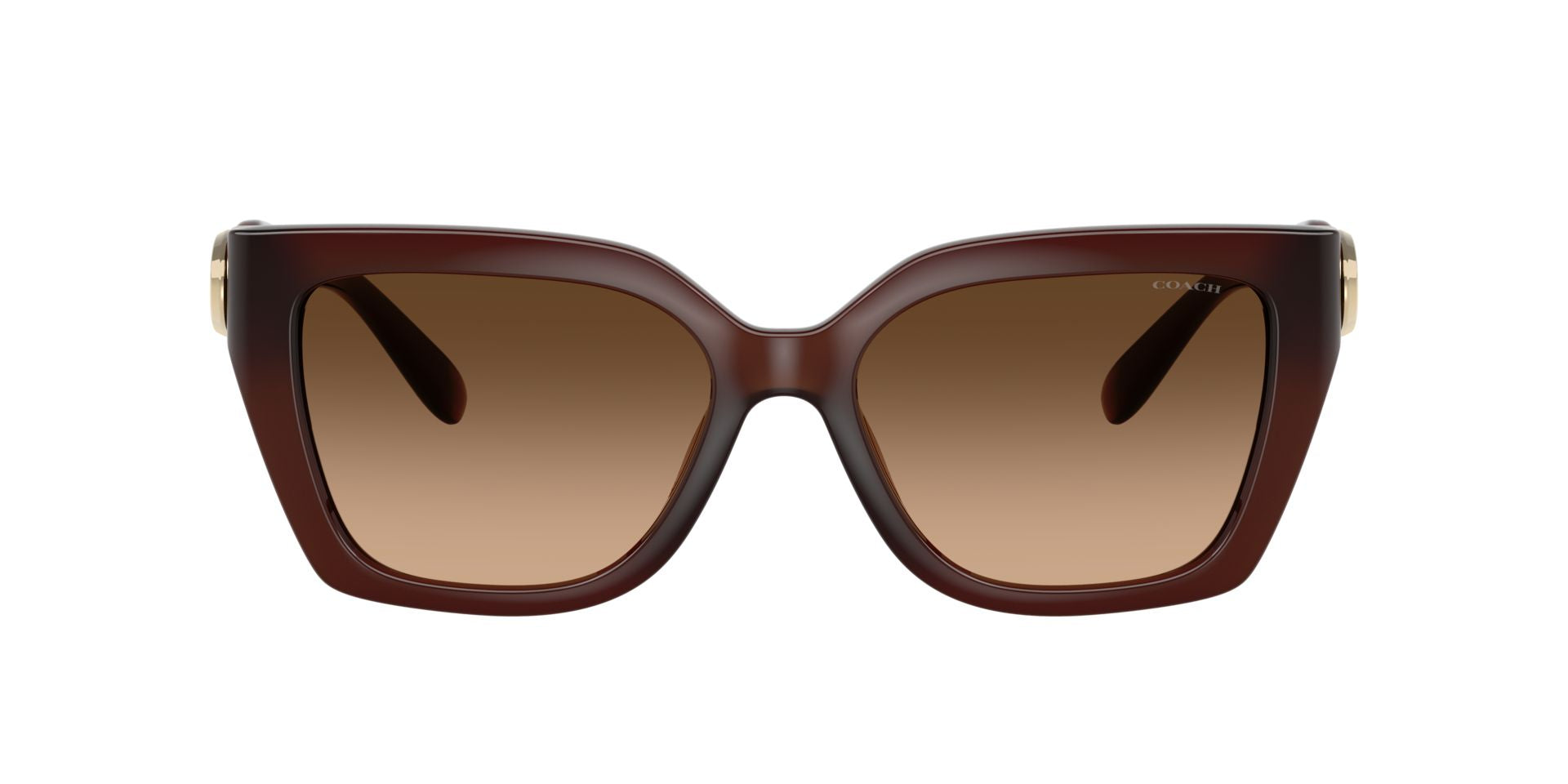 0HC8408U-Injected Woman Sunglass-Milky Hazelnut