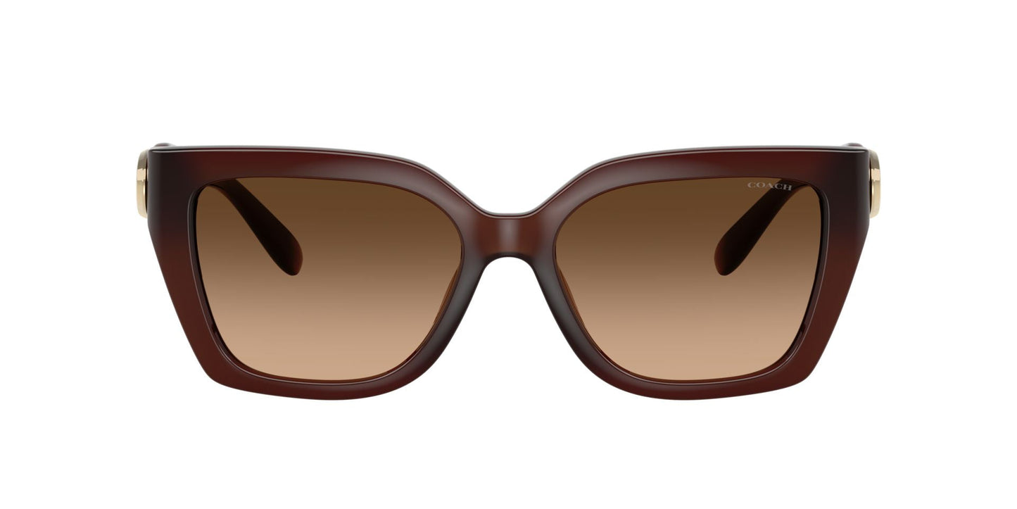 0HC8408U-Injected Woman Sunglass-Milky Hazelnut