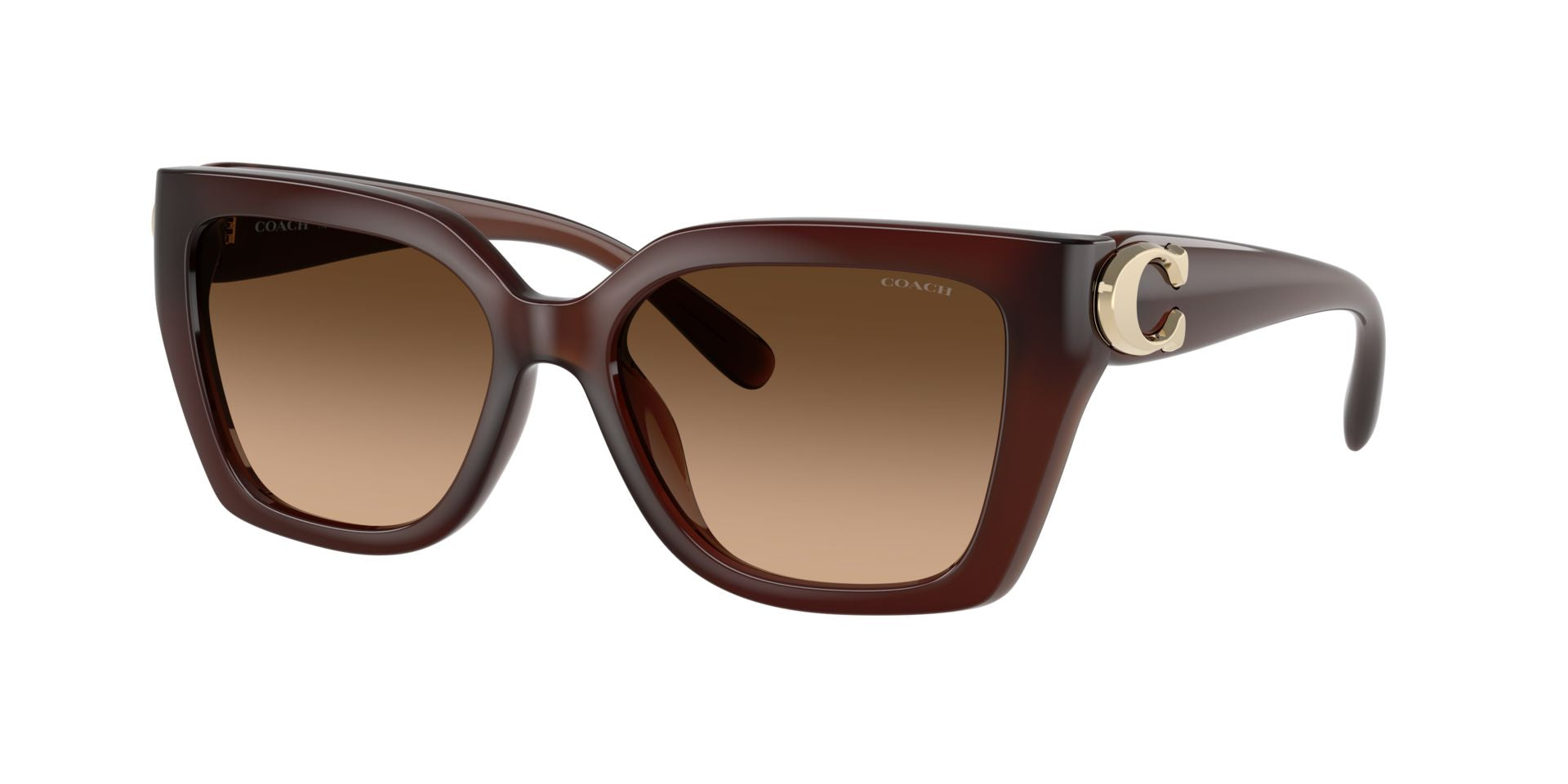0HC8408U-Injected Woman Sunglass-Milky Hazelnut