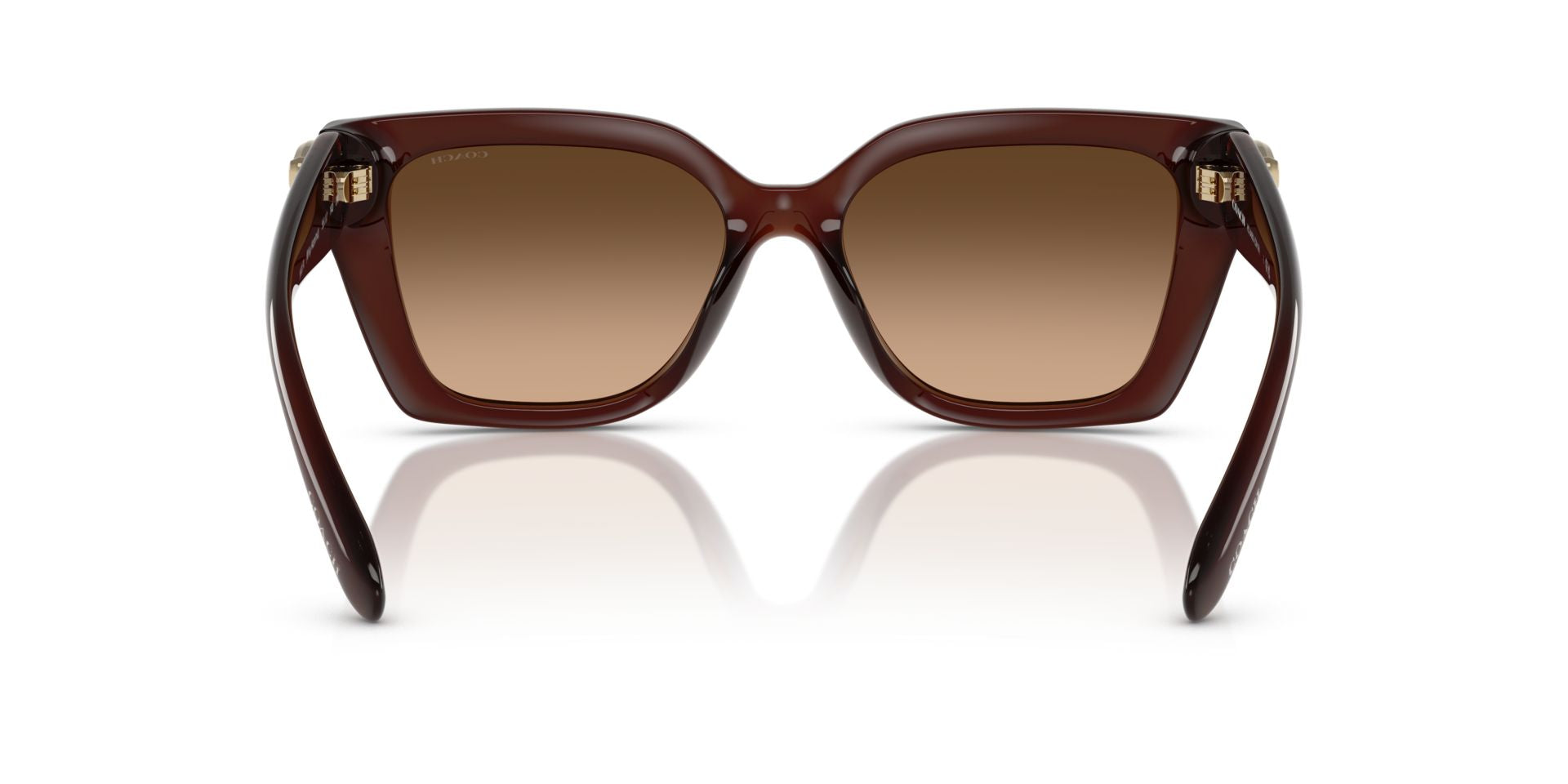 0HC8408U-Injected Woman Sunglass-Milky Hazelnut