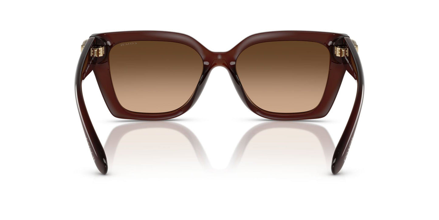 0HC8408U-Injected Woman Sunglass-Milky Hazelnut