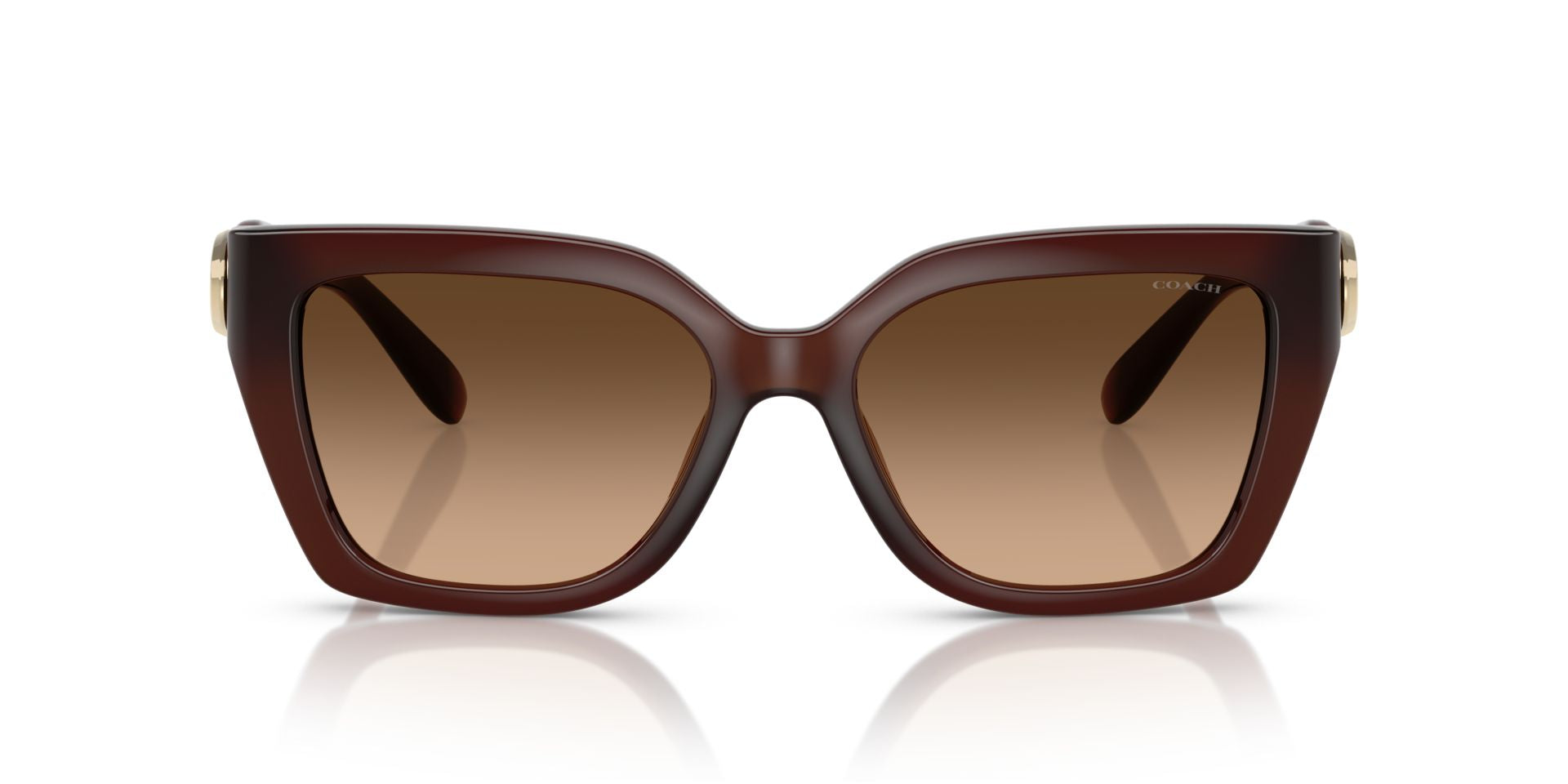 0HC8408U-Injected Woman Sunglass-Milky Hazelnut