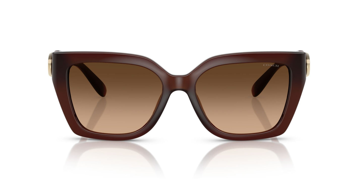 0HC8408U-Injected Woman Sunglass-Milky Hazelnut