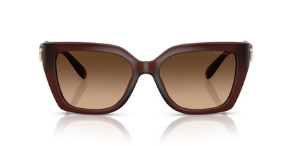 0HC8408U-Injected Woman Sunglass-Milky Hazelnut