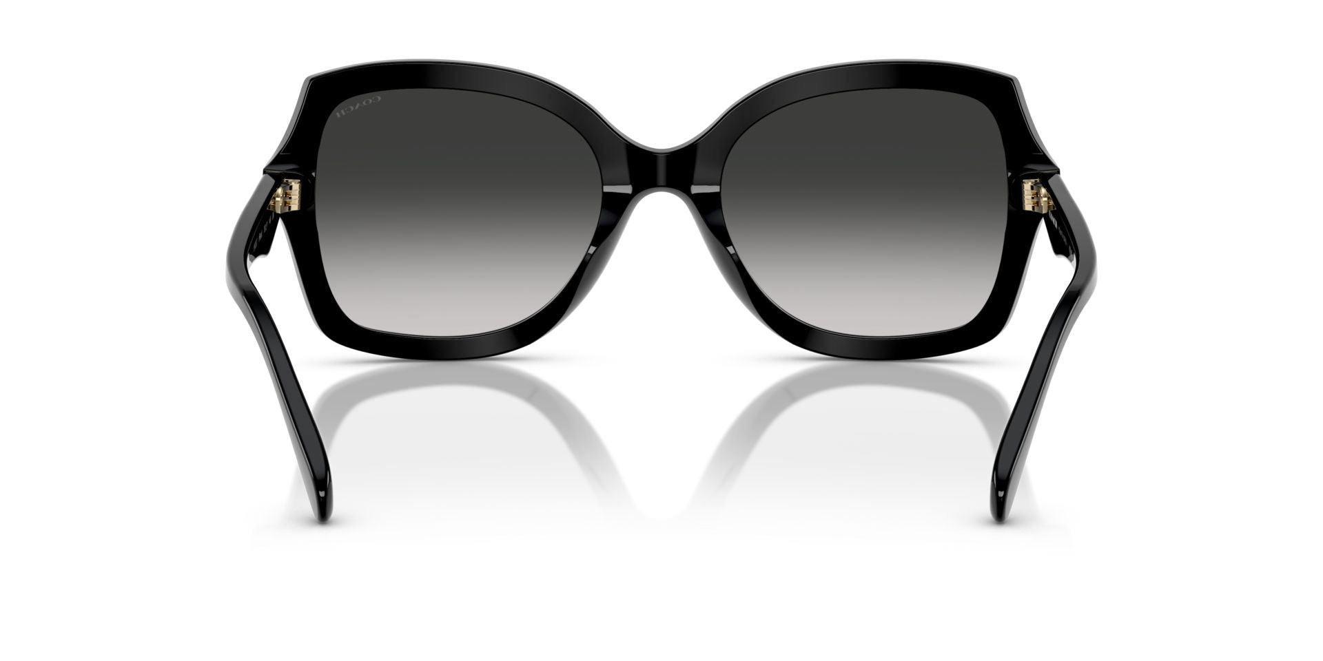 0HC8410U-Polyamide Standard Woman Sunwear-Black