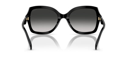 0HC8410U-Polyamide Standard Woman Sunwear-Black