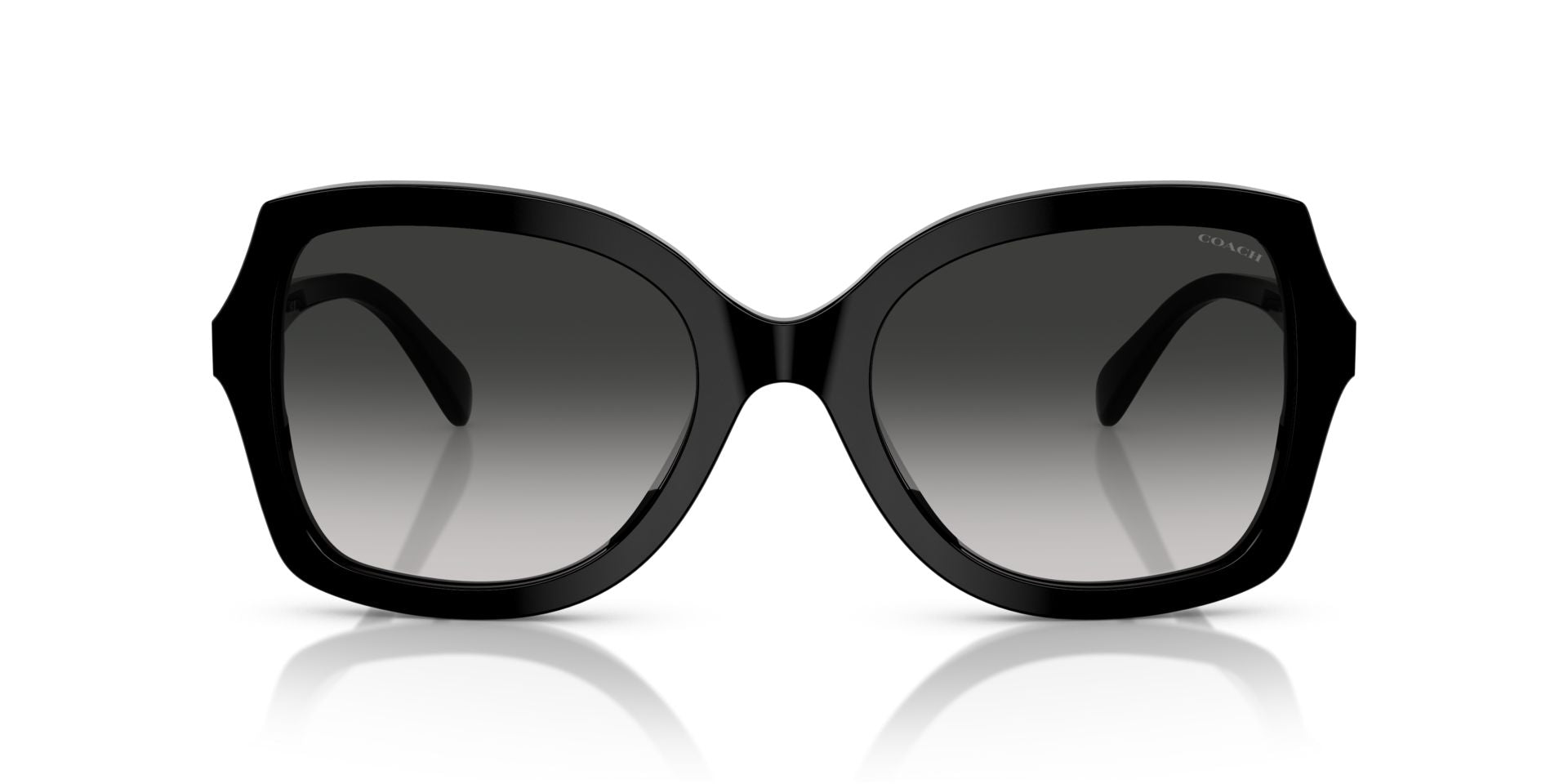 0HC8410U-Polyamide Standard Woman Sunwear-Black