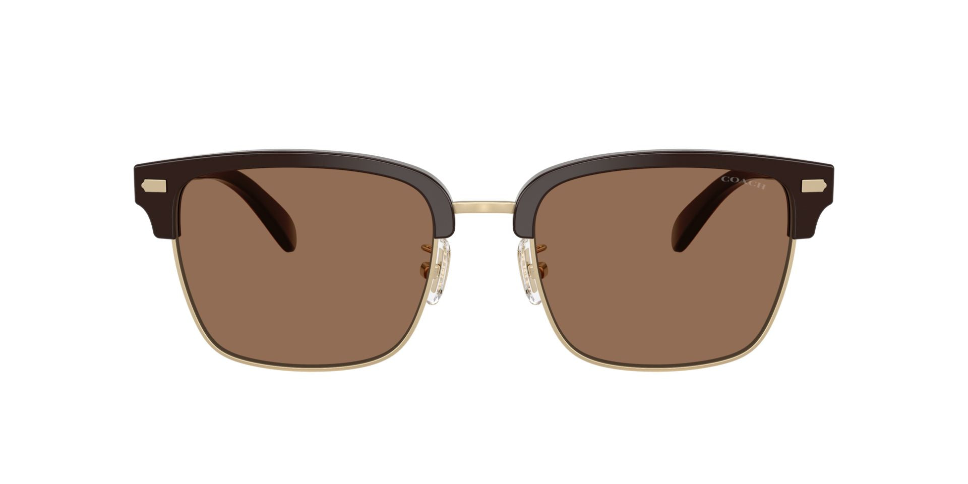 0HC8412-Acetate Man Sunglass-Light Gold / Brown