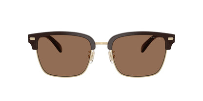 0HC8412-Acetate Man Sunglass-Light Gold / Brown