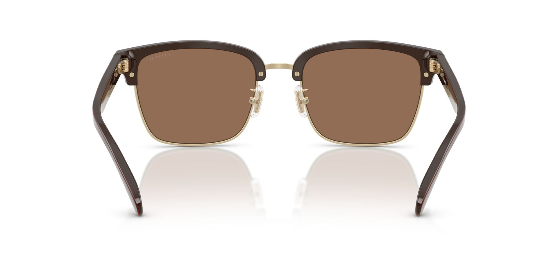 0HC8412-Acetate Man Sunglass-Light Gold / Brown