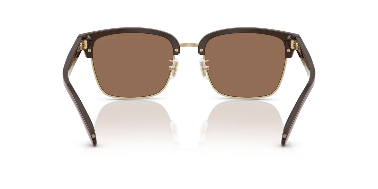 0HC8412-Acetate Man Sunglass-Light Gold / Brown