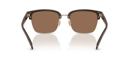 0HC8412-Acetate Man Sunglass-Light Gold / Brown