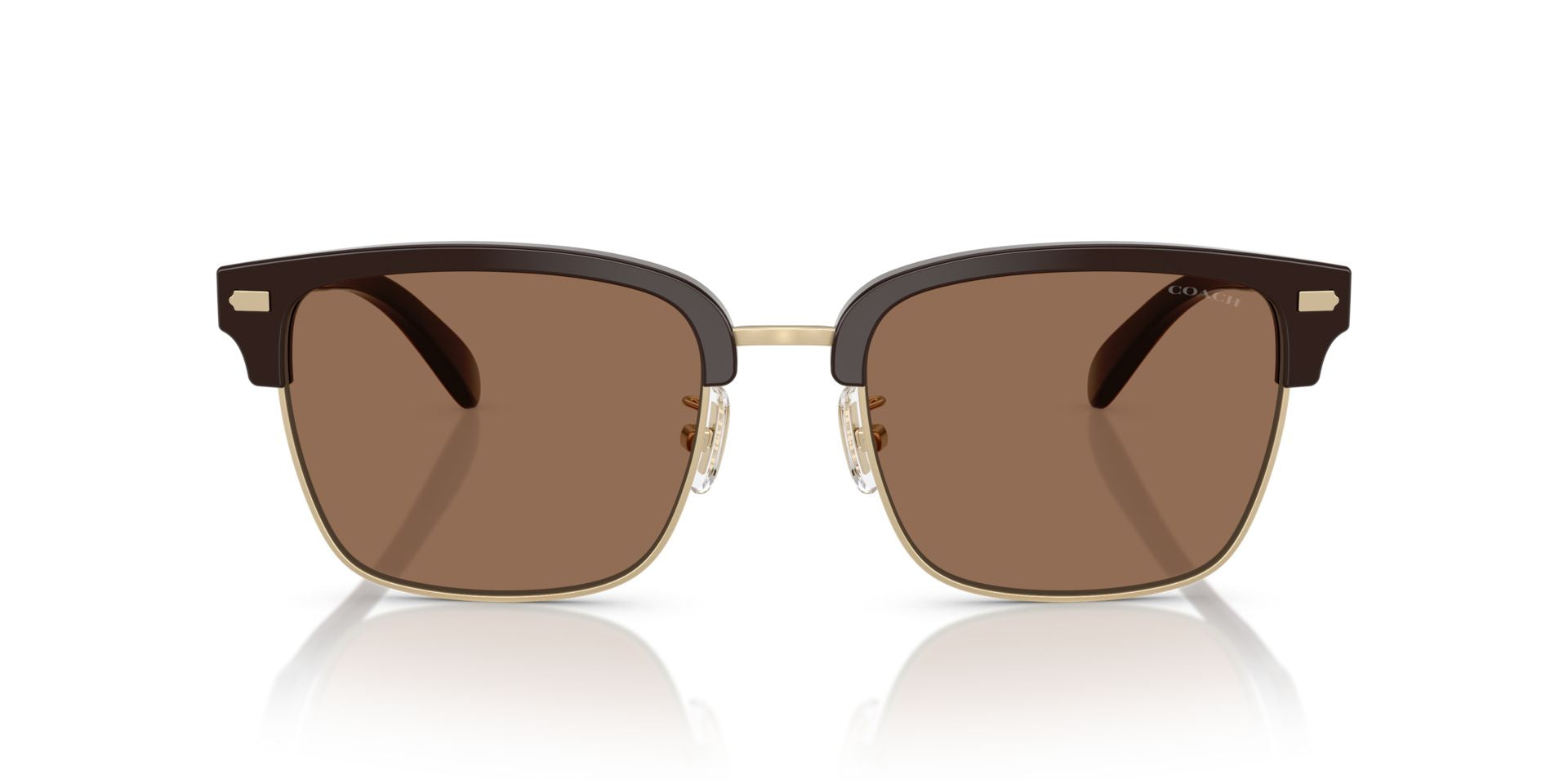 0HC8412-Acetate Man Sunglass-Light Gold / Brown