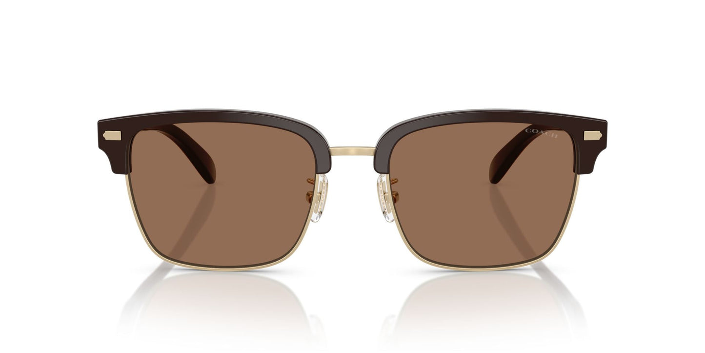 0HC8412-Acetate Man Sunglass-Light Gold / Brown