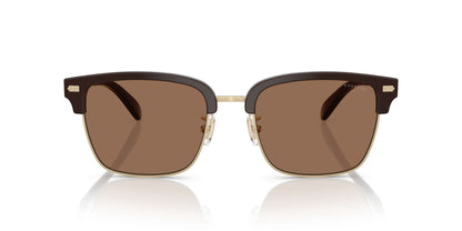 0HC8412-Acetate Man Sunglass-Light Gold / Brown