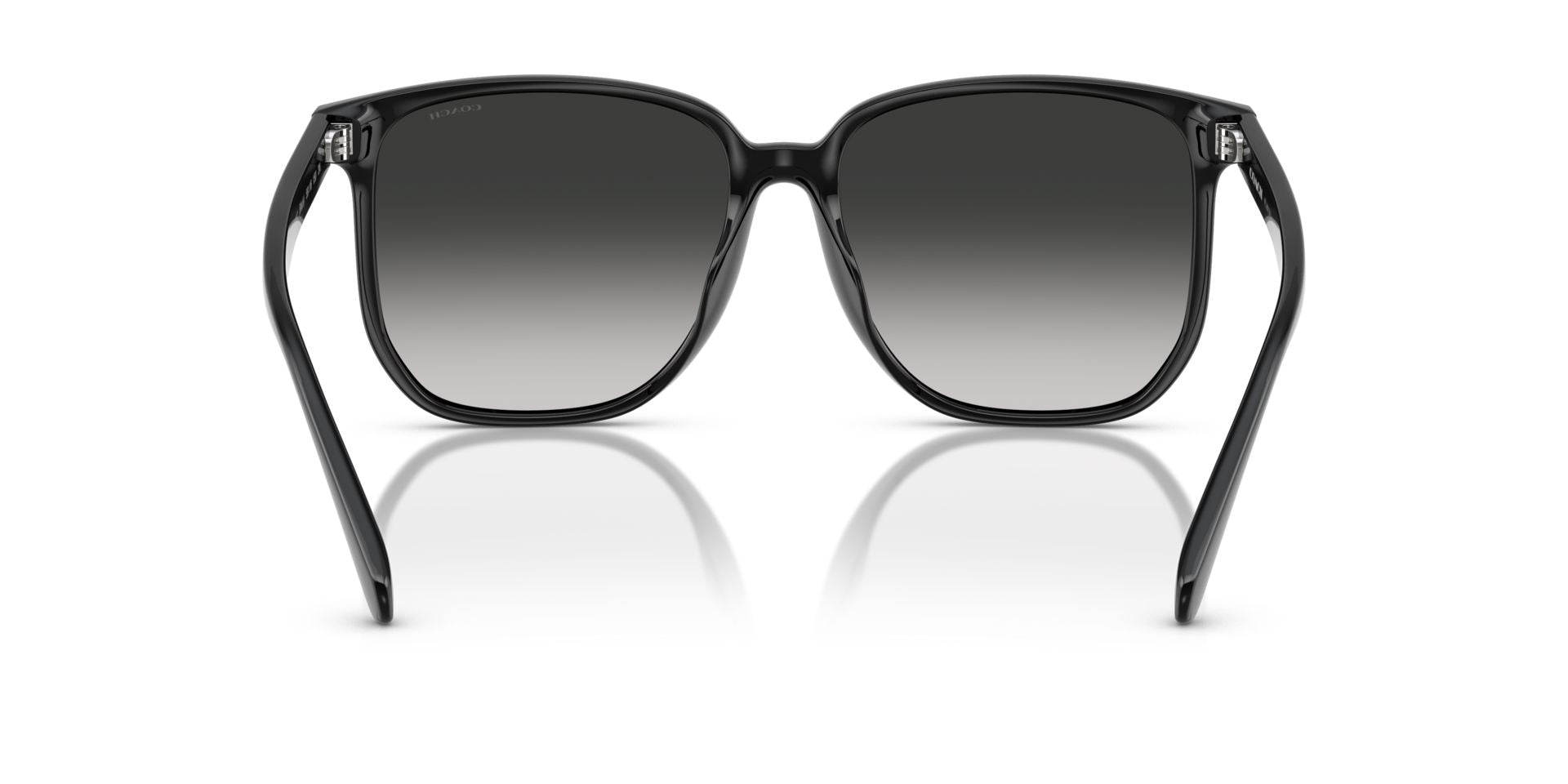 0HC8413BD-Polyamide Standard Woman Sunwear-Black