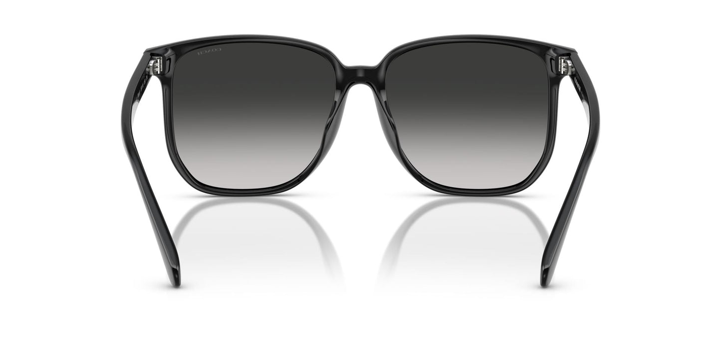 0HC8413BD-Polyamide Standard Woman Sunwear-Black