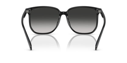 0HC8413BD-Polyamide Standard Woman Sunwear-Black