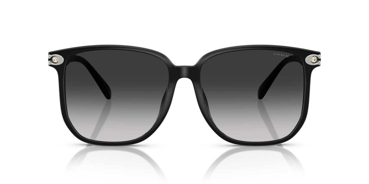 0HC8413BD-Polyamide Standard Woman Sunwear-Black