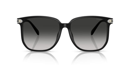 0HC8413BD-Polyamide Standard Woman Sunwear-Black