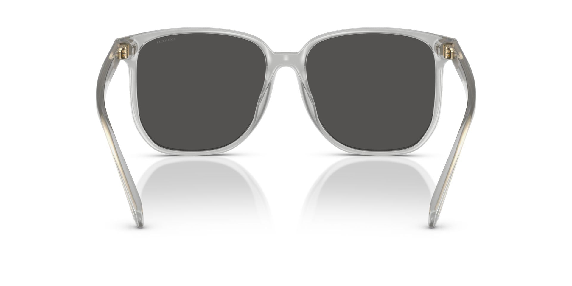 0HC8413BD-Polyamide Standard Woman Sunwear-Transparent Dove