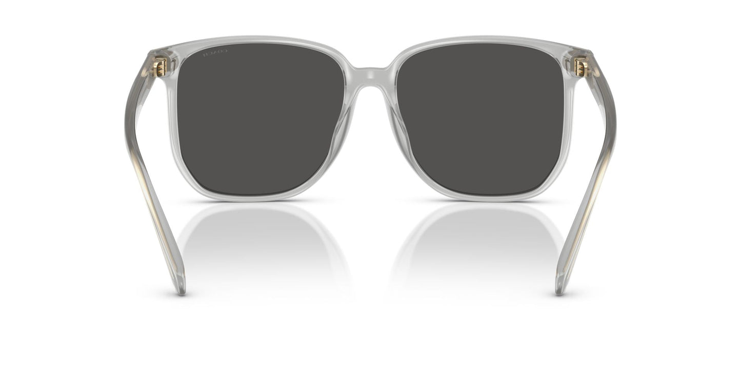 0HC8413BD-Polyamide Standard Woman Sunwear-Transparent Dove