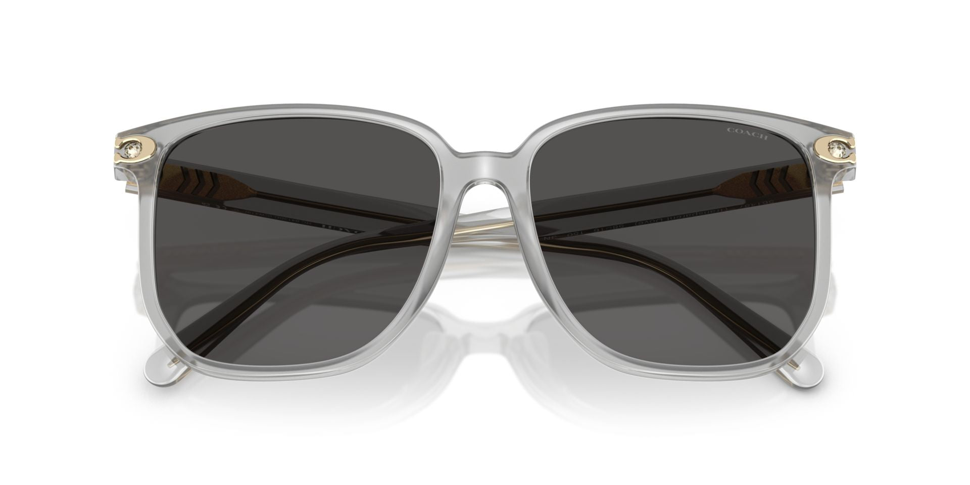 0HC8413BD-Polyamide Standard Woman Sunwear-Transparent Dove