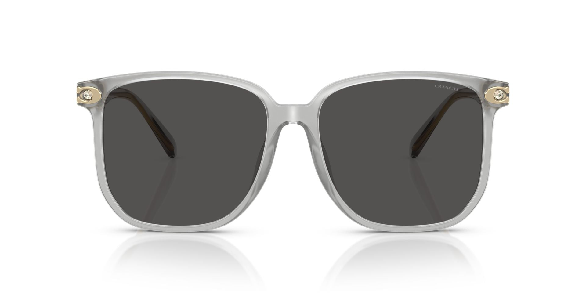 0HC8413BD-Polyamide Standard Woman Sunwear-Transparent Dove