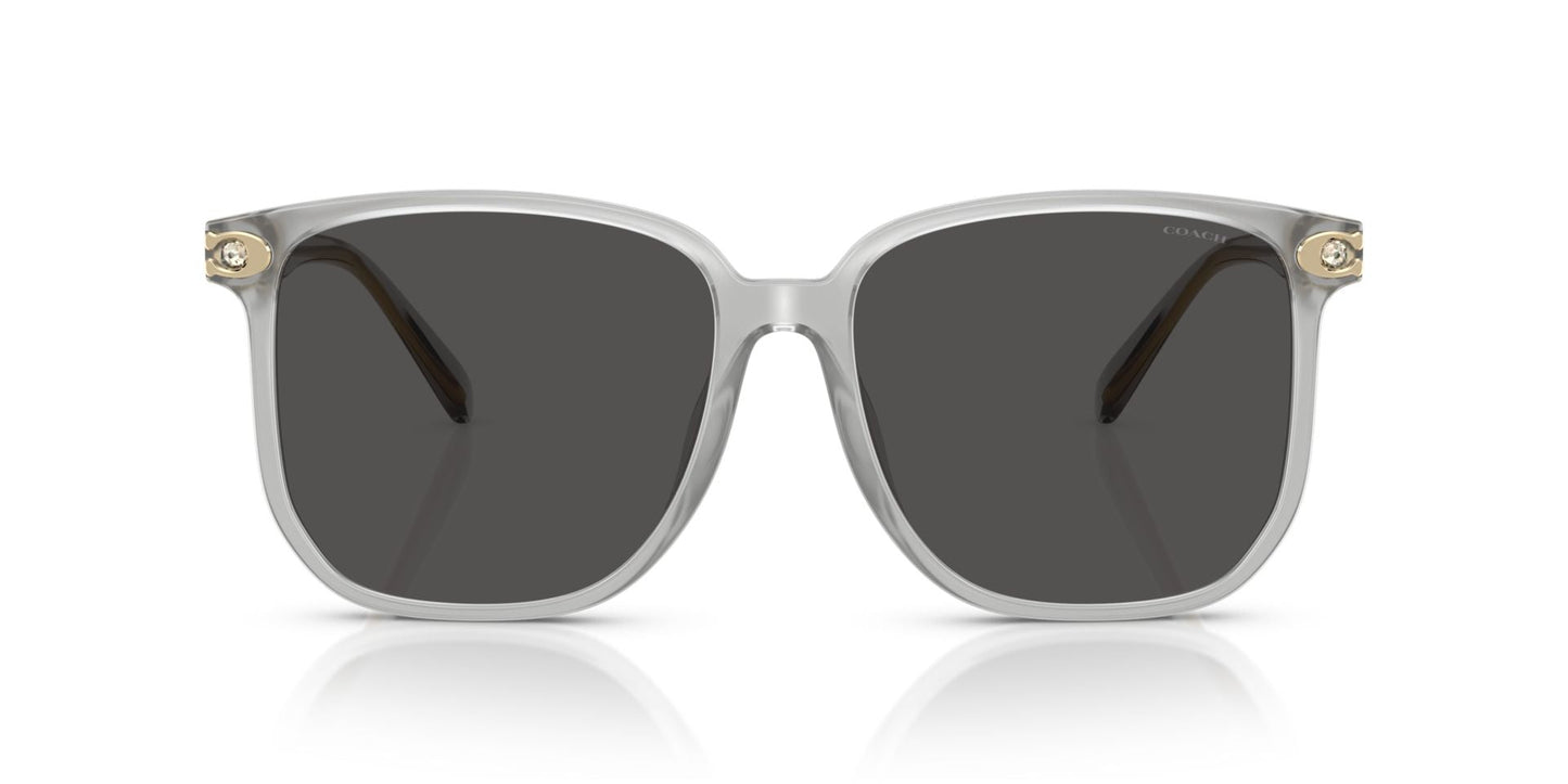 0HC8413BD-Polyamide Standard Woman Sunwear-Transparent Dove