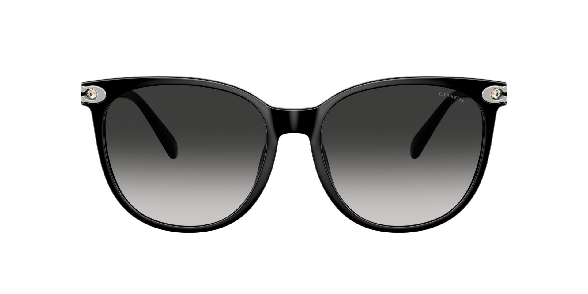 0HC8414BD-Injected Woman Sunglass-Black
