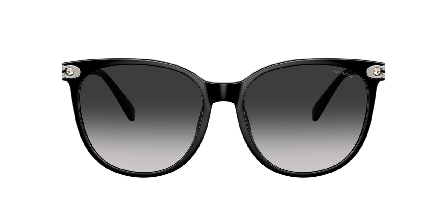 0HC8414BD-Injected Woman Sunglass-Black