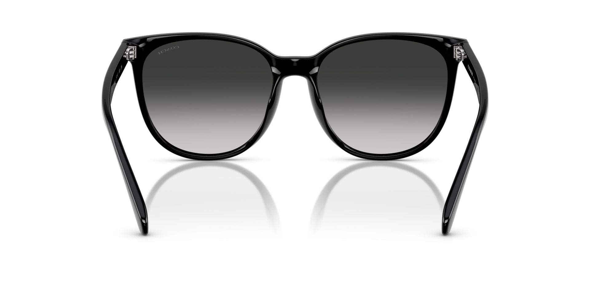 0HC8414BD-Injected Woman Sunglass-Black