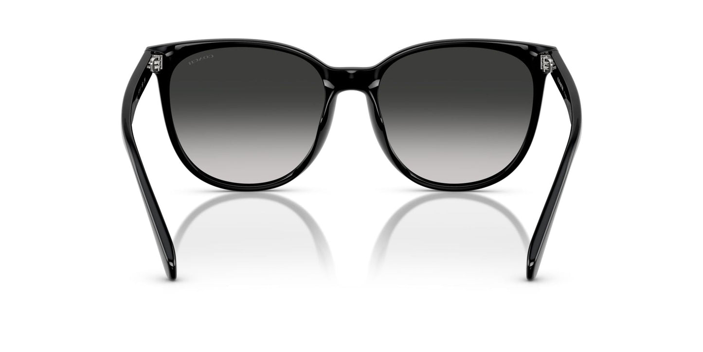 0HC8414BD-Injected Woman Sunglass-Black