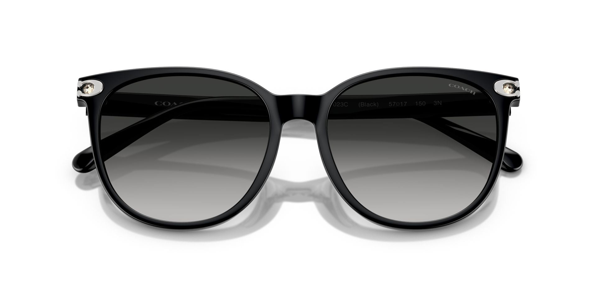 0HC8414BD-Injected Woman Sunglass-Black