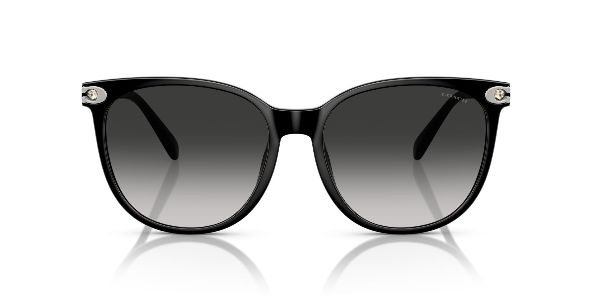 0HC8414BD-Injected Woman Sunglass-Black