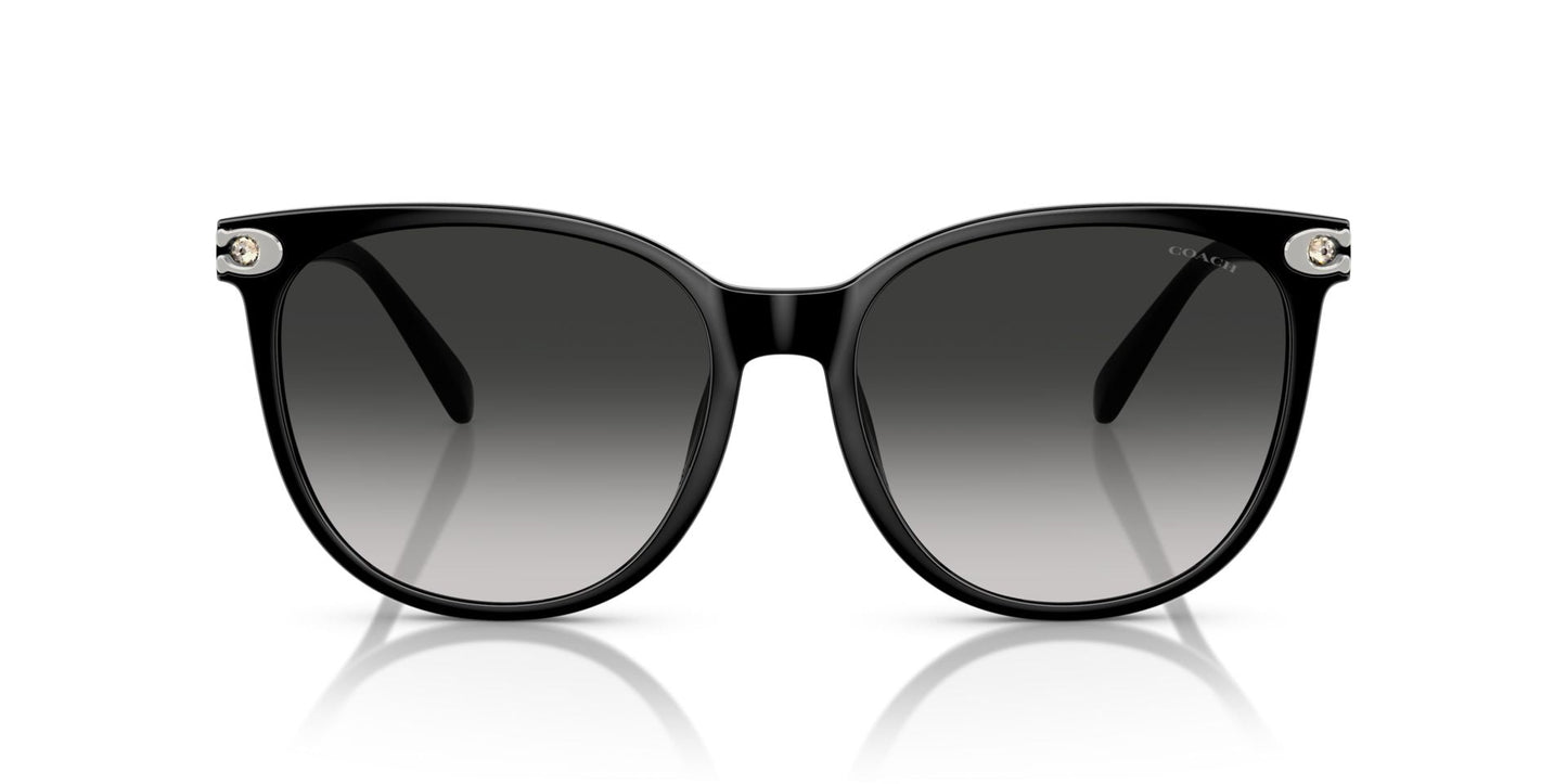 0HC8414BD-Injected Woman Sunglass-Black