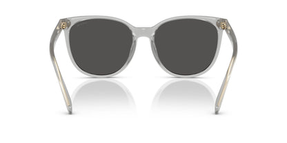 0HC8414BD-Injected Woman Sunglass-Transparent Dove